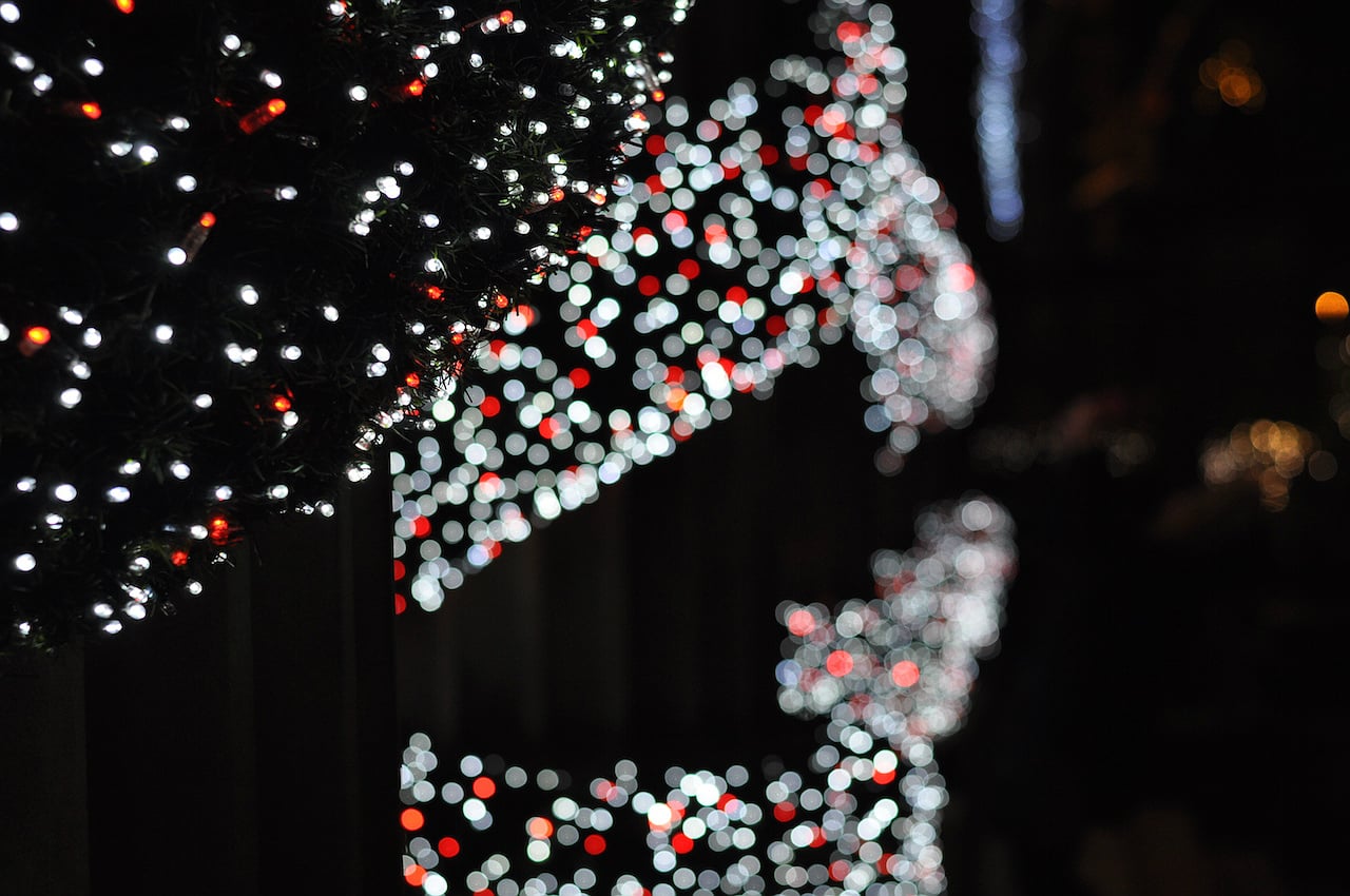 christmas-edinburgh-lights-scotland